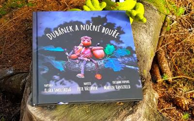 Dubánek a noční bouře