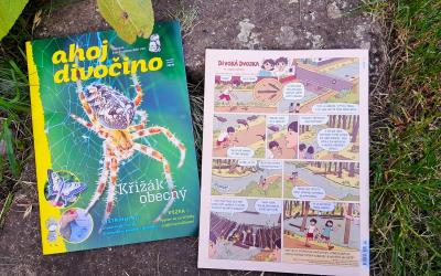 Divoká dvojka, komiks Kláry Smolíkové a Ester Kuchynkové na zadní straně časopisu Ahoj divočino