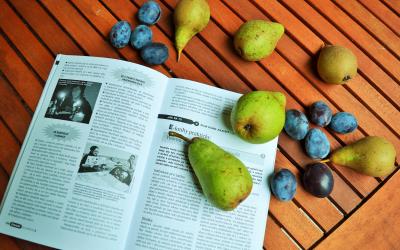 Zářijové číslo knihovnického časopisu Čtenář s rubrikou Kláry Smolíkové o čtenářských workshopech