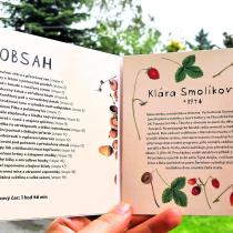 Audiokniha Dubánek a noční bouře - napsala Klára Smolíková, čte Jan Zadražil