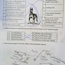 Pracovní list k sérii sérii Tajná dvojka