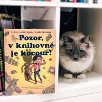 Pozor, v knihovně je kocour!