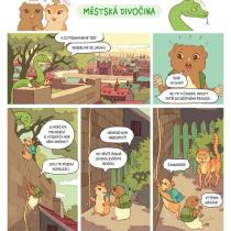 Morčata v akci: text Klára Smolíková, kresba Ester Kuchynková