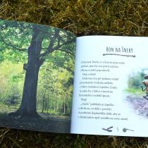 Dubánek a tajný vzkaz - první, neprodejné vydání v měkkých deskách pro projekt Knížka pro prvňáčka