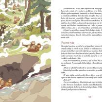 Klára Smolíková: Začarovaný Hvozd, ilustrovala Ester Kuchynková