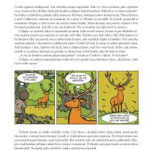 Ukázka z knihy Jak se staví město