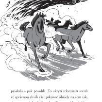 Případ ztraceného koně_ukázka