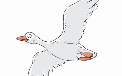 Husa z knihy Husův dům, ilustrace Honza Smolík